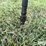 john-deere-2350-2450-image-13