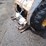 bobcat-763-image-5