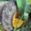 john-deere-4010-image-15