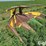john-deere-4rc-image-3