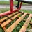 case-ih-510-image-17