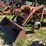 allis-chalmers-d15-series-ii-tractor-image-12