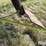 john-deere-1810-image-15