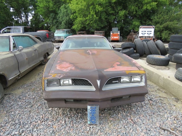 1977-pontiac-firebird-image-2