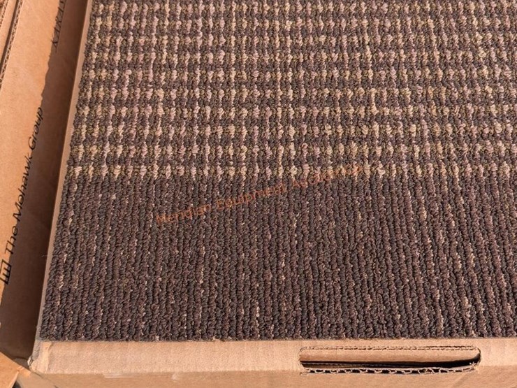 lot-of-carpet-squares-image-7