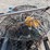 marine-lot---spear-guns,-crab-pots,-etc-image-7