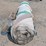 roll-of-carpet---unknown-square-footage-image-9