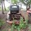 1954-chevrolet-3600-3/4-ton-pickup-with-great-patina-image-5