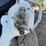 2023-bobcat-s86-image-11