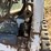 bobcat-t190-image-10
