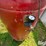1997-manchester-80-gal-air-compressor-image-9