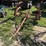 folding-tine-harrow-image-1