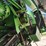 2011-john-deere-9870-sts-image-10