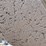 roll-of-carpet---unknown-square-footage-image-7