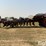 2012-case-ih-1250-image-8