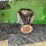 2019-john-deere-gator-image-6