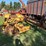 new-holland-892-image-2