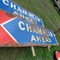 redwood-county-truck-&-car-auction-2-day-event---day-2-image-6