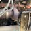 #1993-•-chevrolet-kodiak-single-axle-semi-tractor-image-63