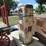 double-sided-computing-gas-pump-image-1