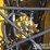 caterpillar-336-image-50