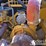 2019-caterpillar-336-image-61