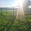 (18)-gate-round-pen-w/walk-through-gate-image-17