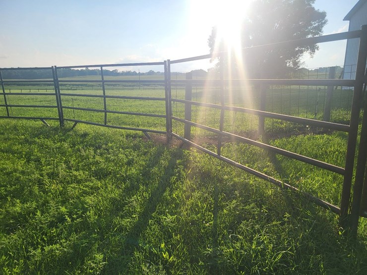(18)-gate-round-pen-w/walk-through-gate-image-17