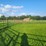 (18)-gate-round-pen-w/walk-through-gate-image-12