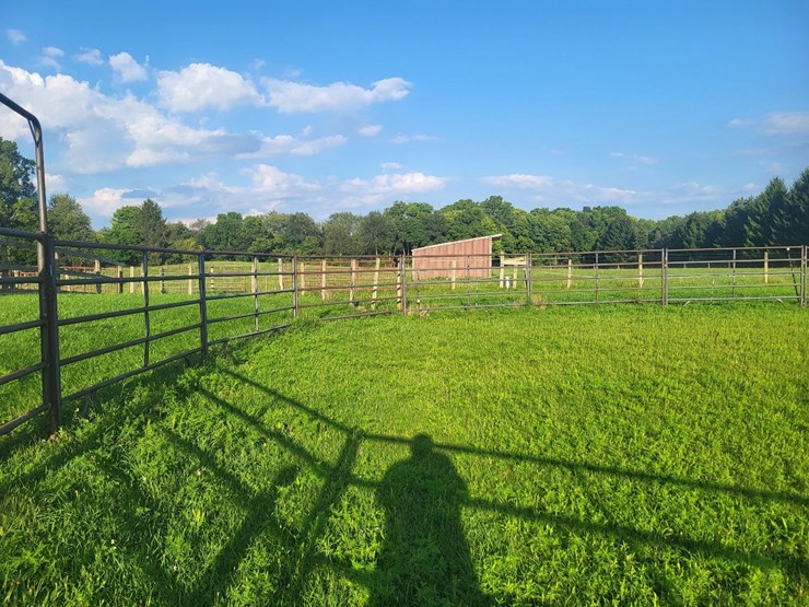 (18)-gate-round-pen-w/walk-through-gate-image-12