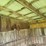 3-sided-tramp-shed-image-12