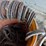 used-horseshoes-image-4
