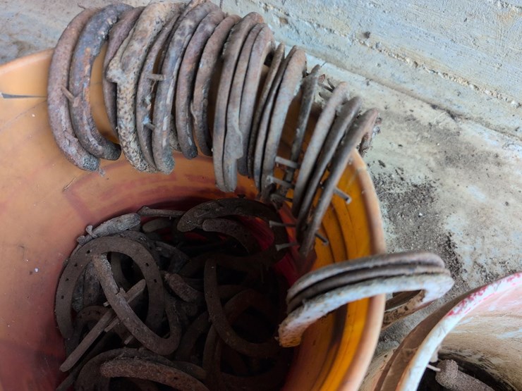 used-horseshoes-image-4