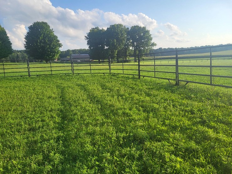 (18)-gate-round-pen-w/walk-through-gate-image-16