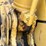 2004-caterpillar-321c-image-32