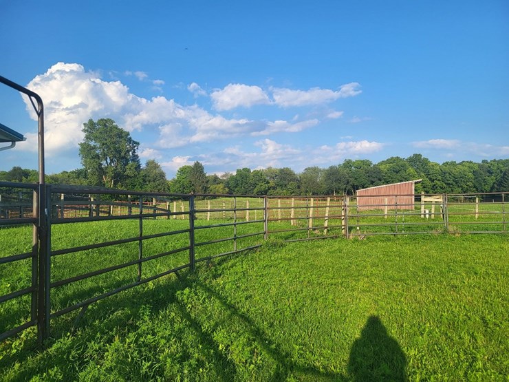 (18)-gate-round-pen-w/walk-through-gate-image-13