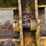 #4515-•-loader-rock-bucket-image-17