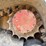2016-takeuchi-tl10v2-image-44