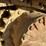 2004-caterpillar-321c-image-67