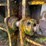 #4515-•-loader-rock-bucket-image-15