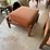 patio-set-image-7