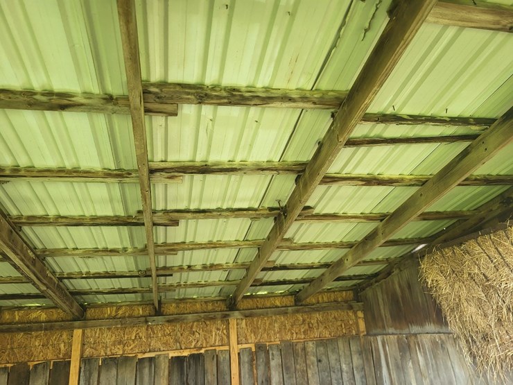 3-sided-tramp-shed-image-16