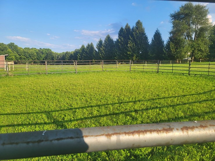 (18)-gate-round-pen-w/walk-through-gate-image-10