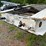 #4525-•-2010-eager-beaver-50-gsl-tri-axle-lowboy-image-8