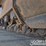 2019-caterpillar-336-image-18