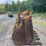 #4515-•-loader-rock-bucket-image-7