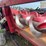 case-ih-2208-image-19