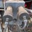 century-3647-tractor-loader-image-29