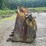#4515-•-loader-rock-bucket-image-4