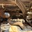 2016-takeuchi-tl10v2-image-21